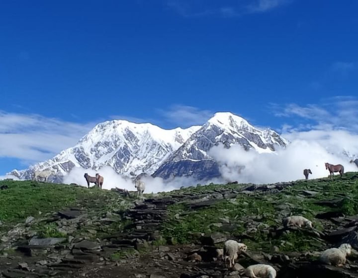 Surrounding Mardi Himal